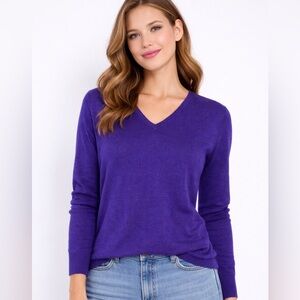 Eileen Fisher 100% Royal Alpaca Purple V-Neck Sweater XS Soft Luxury Knit